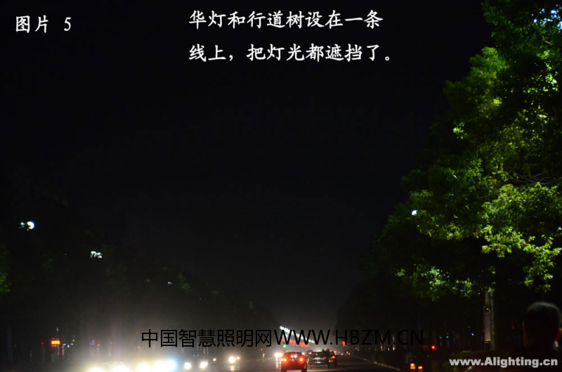 图片8