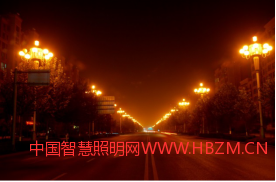 99图片1