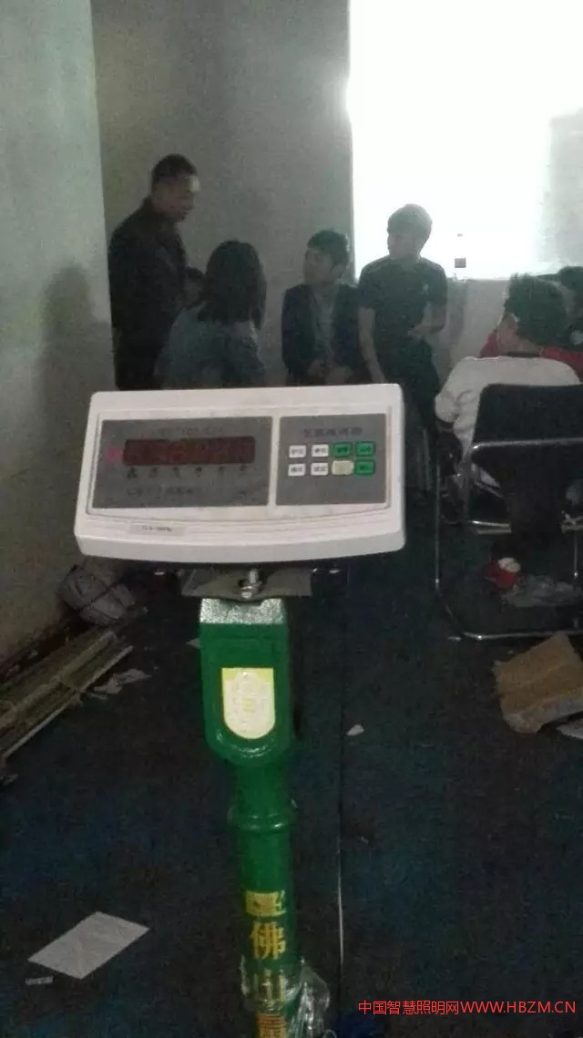 中国照明企业福特斯变卖资产现场