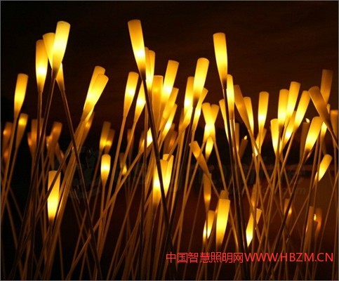 秋意芦燃