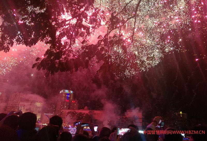 仰望夜空观看精彩花火秀。