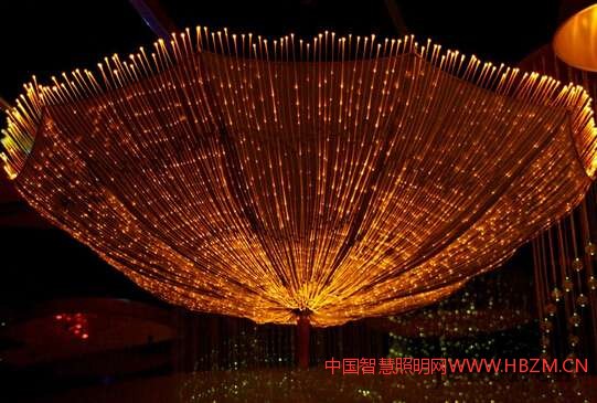 光纤照明图片