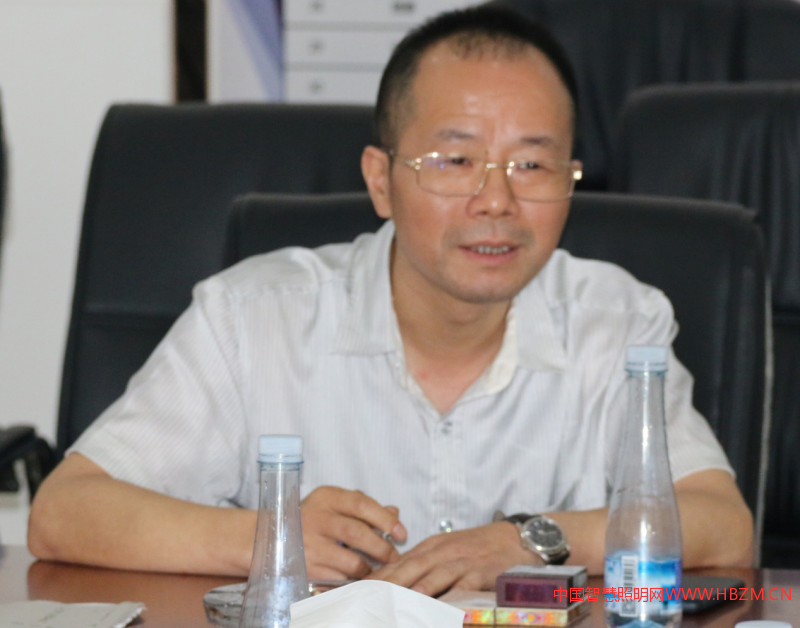 中山市湖南商会LED专业委员会会长彭继辉