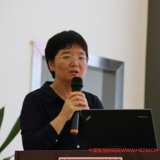 中山华标检测举办2017灯饰照明国际认证研讨会