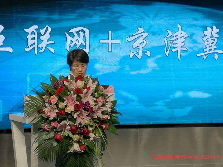 天津市照明协会理事长,天津市照明学会副理事长,天津华彩信和电子科技集团董事长李树华主持开幕式