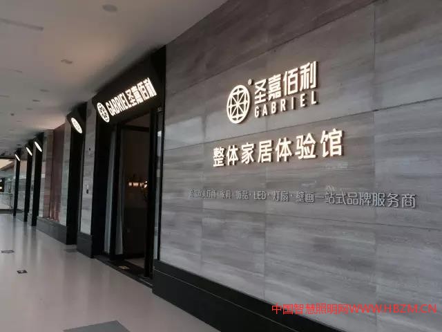 中国智慧照明网