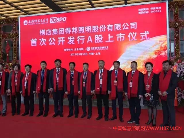 中国智慧照明网