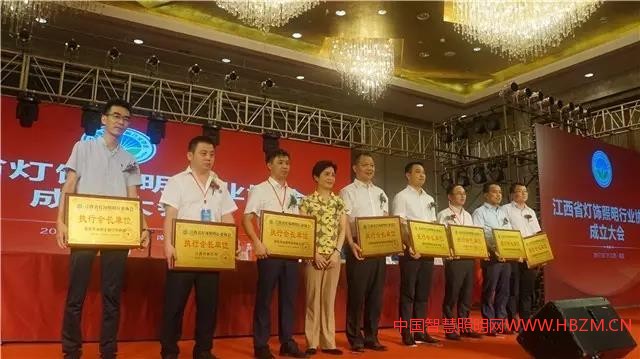 中国智慧照明网