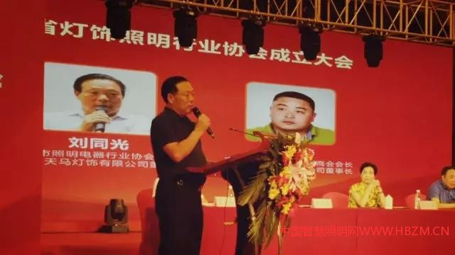 中国智慧照明网