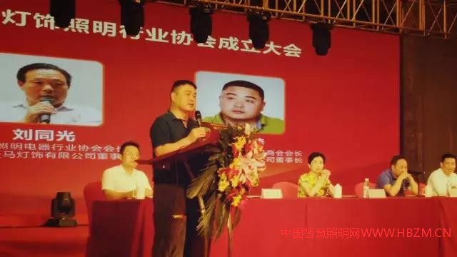 中国智慧照明网