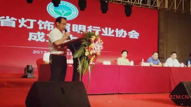 中国智慧照明网