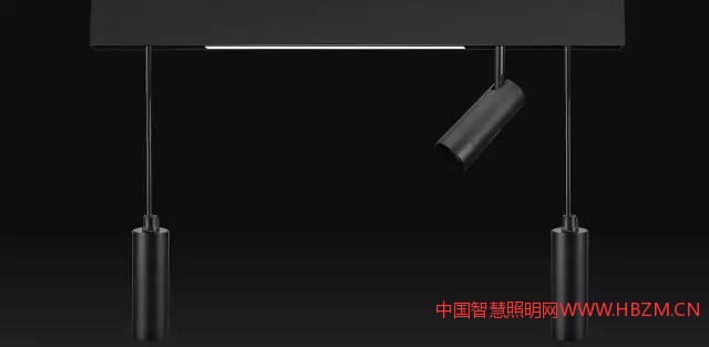 中国智慧照明网