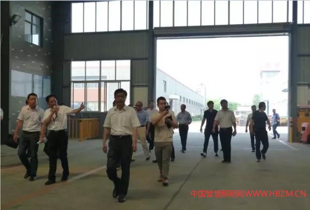 中国智慧照明网