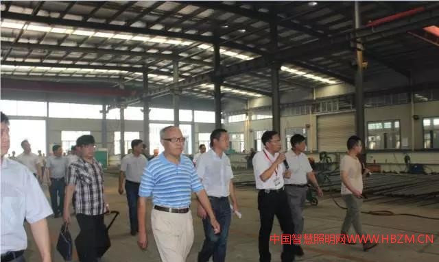 中国智慧照明网