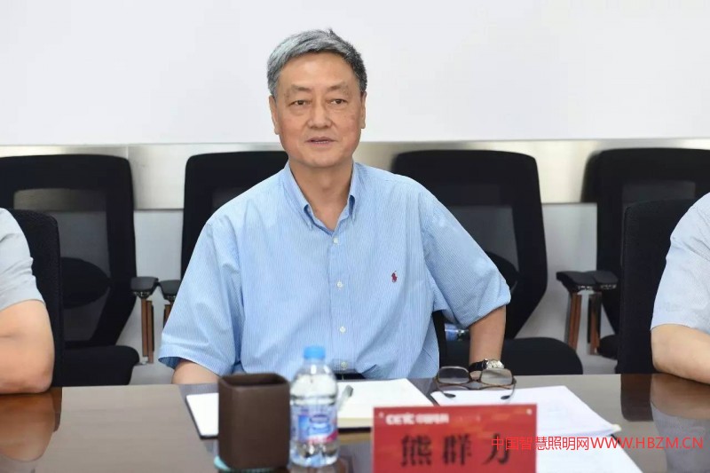 中国智慧照明网