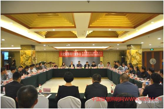 中国智慧照明网