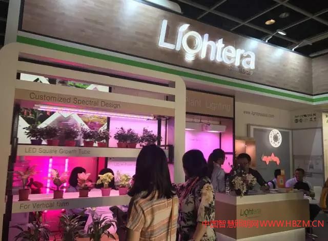 19届香港国际秋季灯饰展在香港会议展览中心盛大开幕
