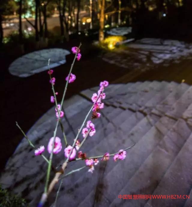 照母山远景似繁星点点