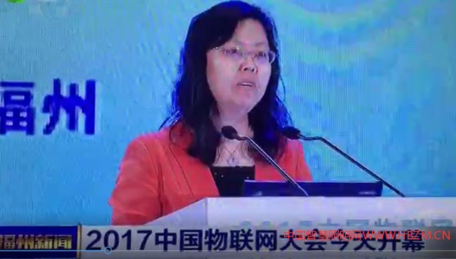  工信部信息化和软件服务业司副司长朱婉
