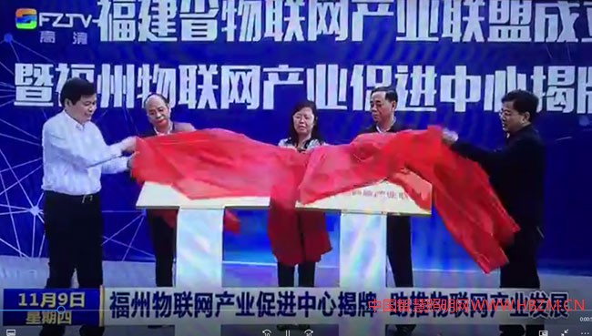 福州物联网产业促进中心揭牌仪式
