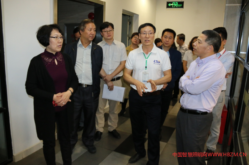 ▲就公共服务平台进行深入交流