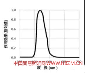 图5蓝光伤害光谱函数B(λ)