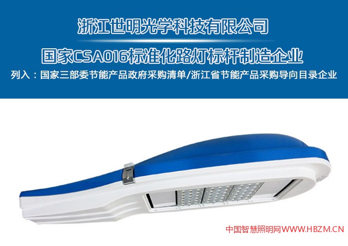 浙江世明光学科技有限公司标准化路灯标杆制造企业