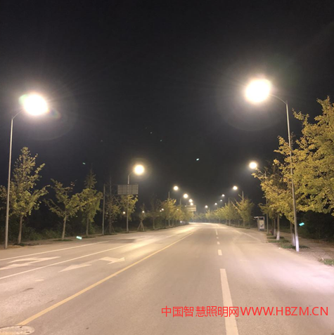 低色温高光效标准化暖黄光LED路灯在城市照明中夜晚效果图