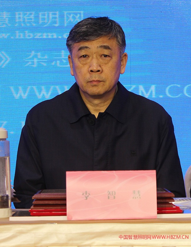 河北省照明行业协会会长李智慧先生