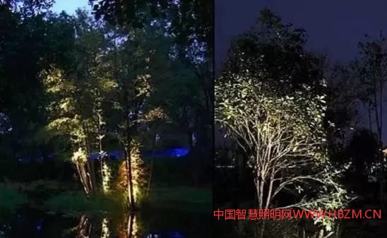 通过调整灯具与植物的距离以减弱或加强纹理