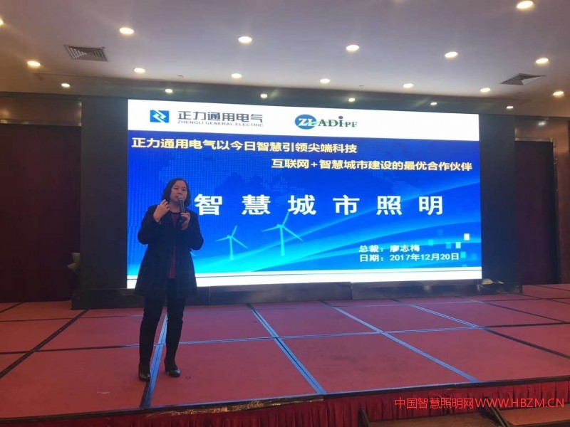 2017年广东路灯年会暨路灯应用技术论坛上广东正力通用电气公司总经理廖志梅做“互联网+智慧城市照明”演讲