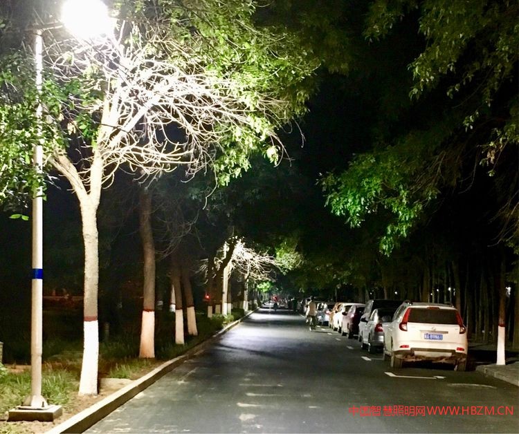 衡水市路灯管理处2017年度城市照明工作报告