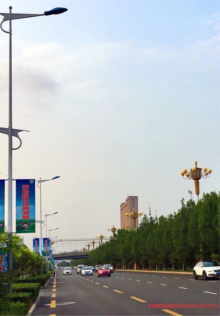 衡水市路灯管理处2017年度城市照明工作报告