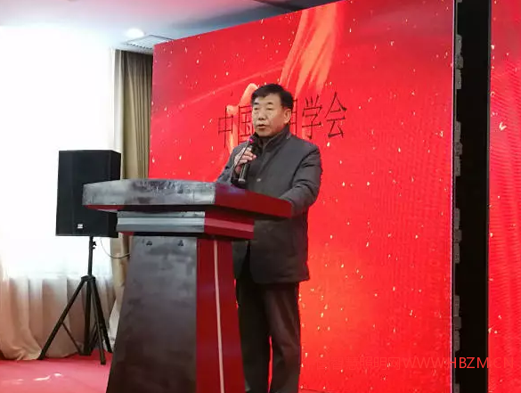 中国照明学会理事长 邴树奎