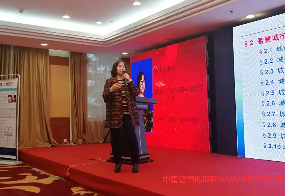 广东正力通用电气有限公司总裁 廖志梅
