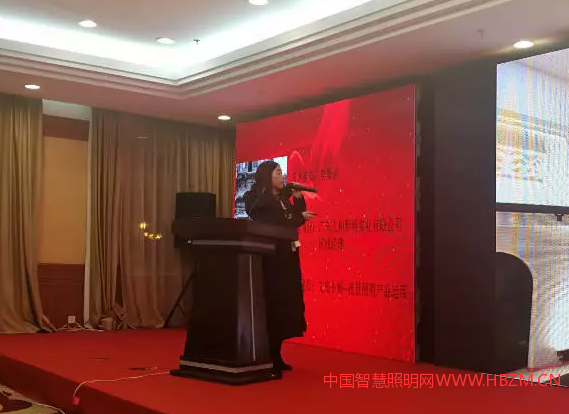 广东人和照明实业有限公司区域总经理 李海丽