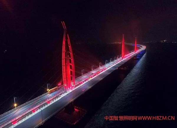 江海直达桥航道的三个海豚,闪亮夜海