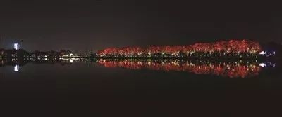 南京——发布玄武湖夜景照明成果