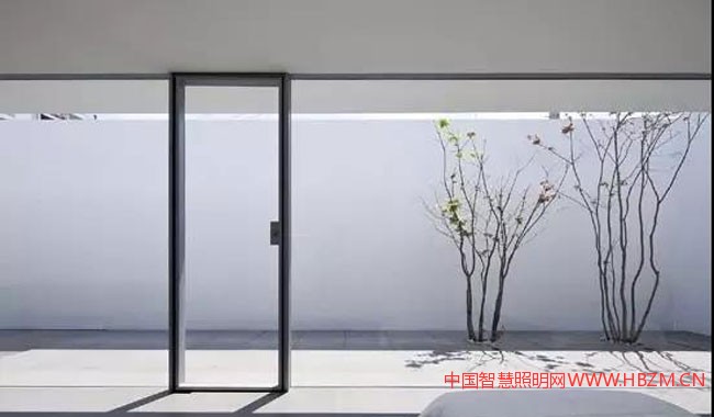 单调+强调