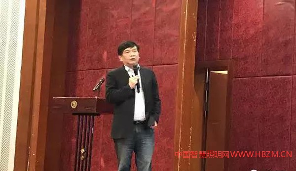 中国照明学会秘书长窦林平作《法兰克福照明展观后思考》报告