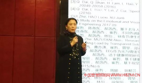 同济大学建筑与城市规划学院教授郝洛西作《光与健康的研究动态与应用展望》报告