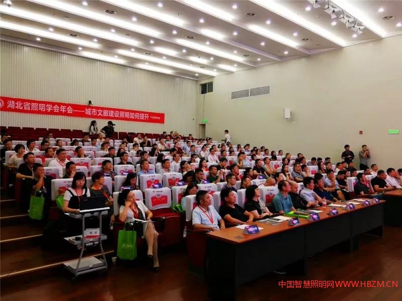 2018湖北省照明学会---中国智慧照明网