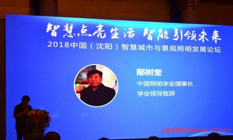 中国照明学会理事长邴树奎---中国智慧照明网