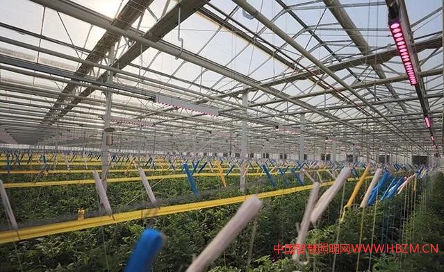 飞利浦GreenPower LED 补光系统---中国智慧照明网
