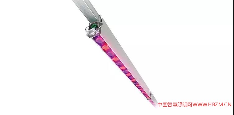 飞利浦GreenPower LED 顶光模组---中国智慧照明网