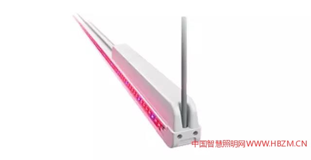飞利浦GreenPower LED 植株间照明模组---中国智慧照明网