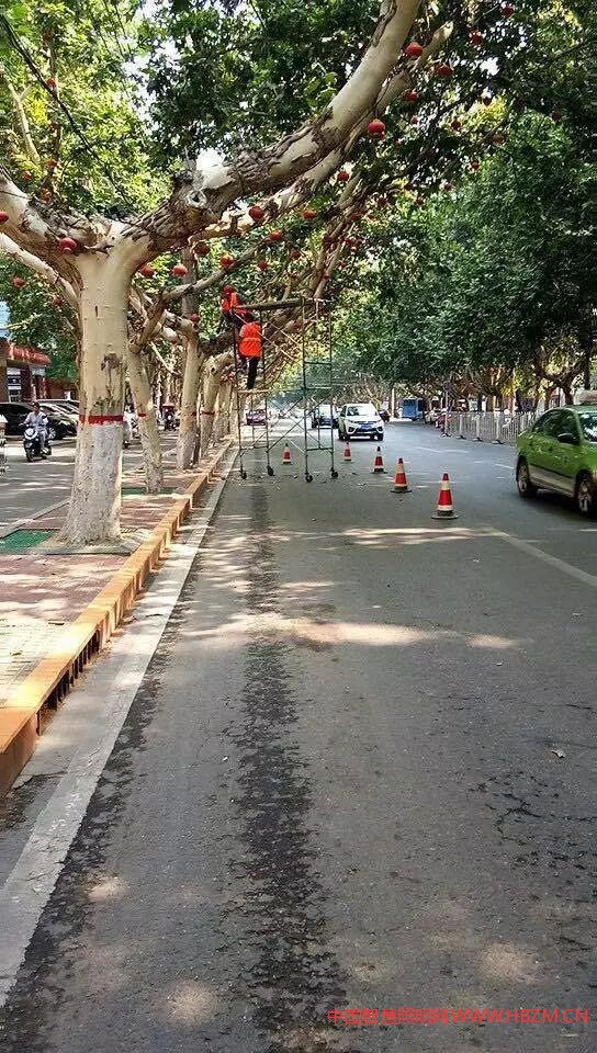 路灯维修---中国智慧照明网