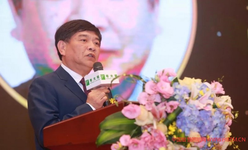 中国照明学会秘书长窦林平---中国智慧照明网