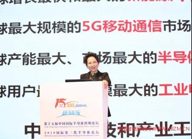 2018国际第三代半导体论坛--中国智慧照明网