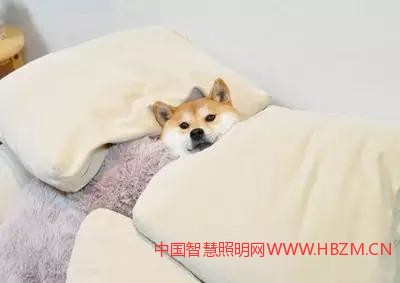 卧室电路设计---中国智慧照明网